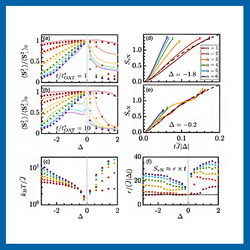 Fig. 3 of "Validating Phase-Space Methods with Tensor Networks in Two-Dimensional Spin Models with Power-Law Interactions"; Sean R. Muleady, Mingru Yang, Steven R. White, and Ana Maria Rey; Phys. Rev. Lett. 131, 150401